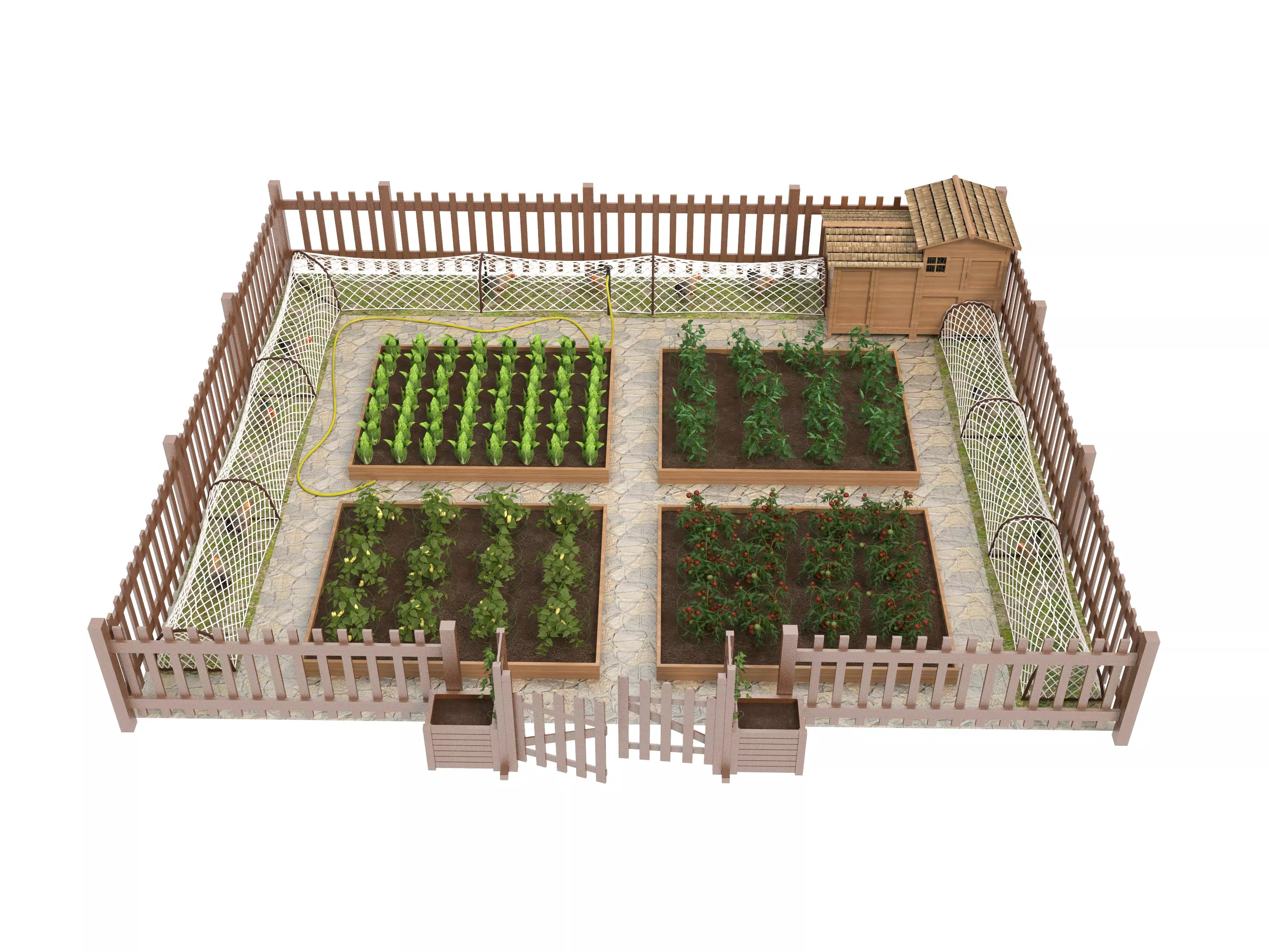 Edible Vegetable for Garden and Landscaping 3D model