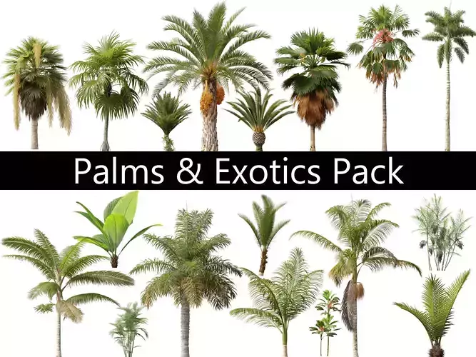 Palms Exotics Pack 25