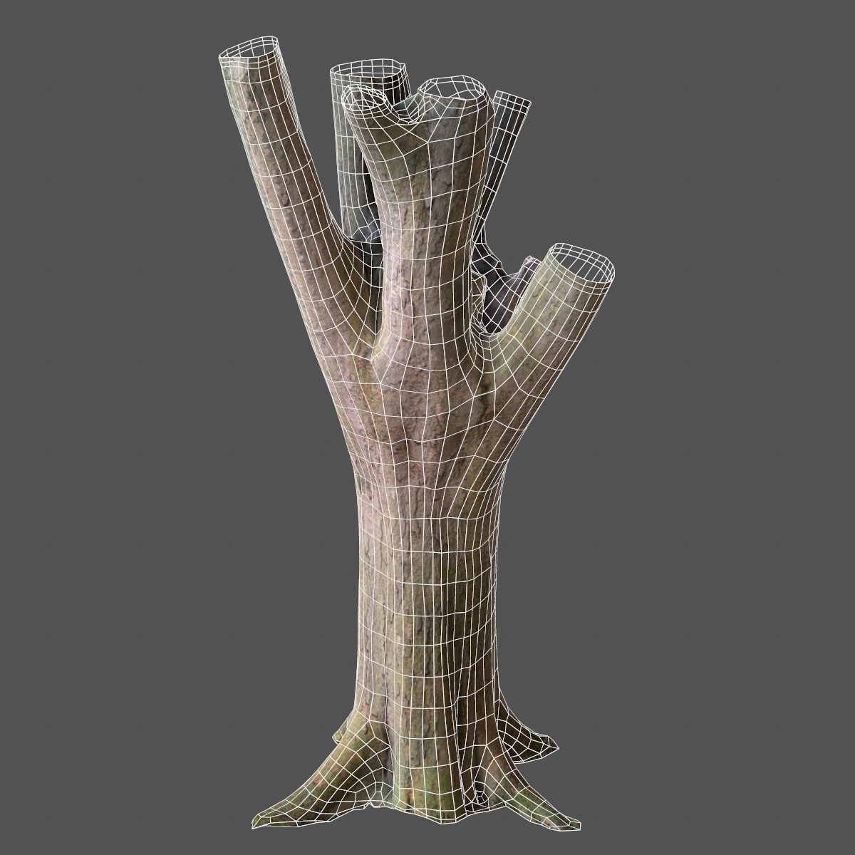 Big Tree Realistic Model Low-poly 3D model_9