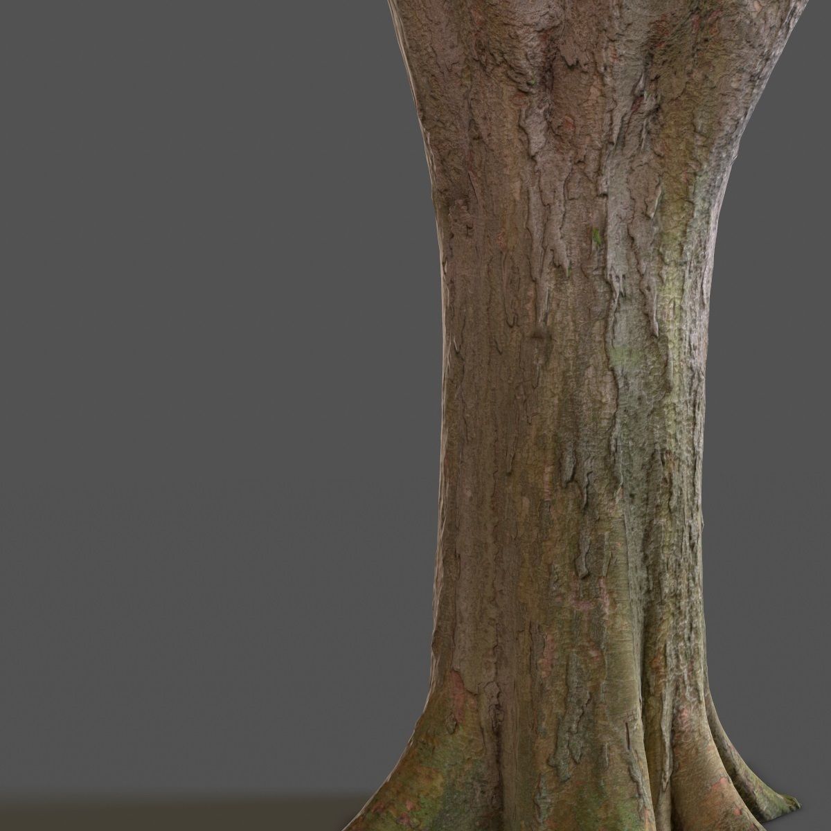 Big Tree Realistic Model Low-poly 3D model_10
