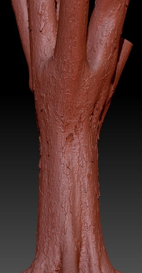 Big Tree Realistic Model Low-poly 3D model_6