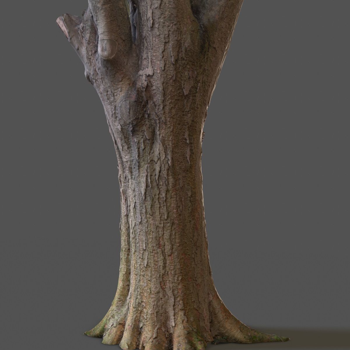 Big Tree Realistic Model Low-poly 3D model_8