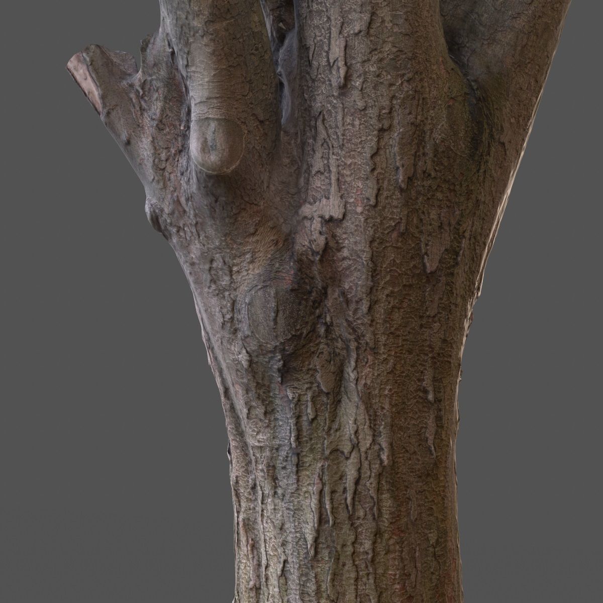 Big Tree Realistic Model Low-poly 3D model_11