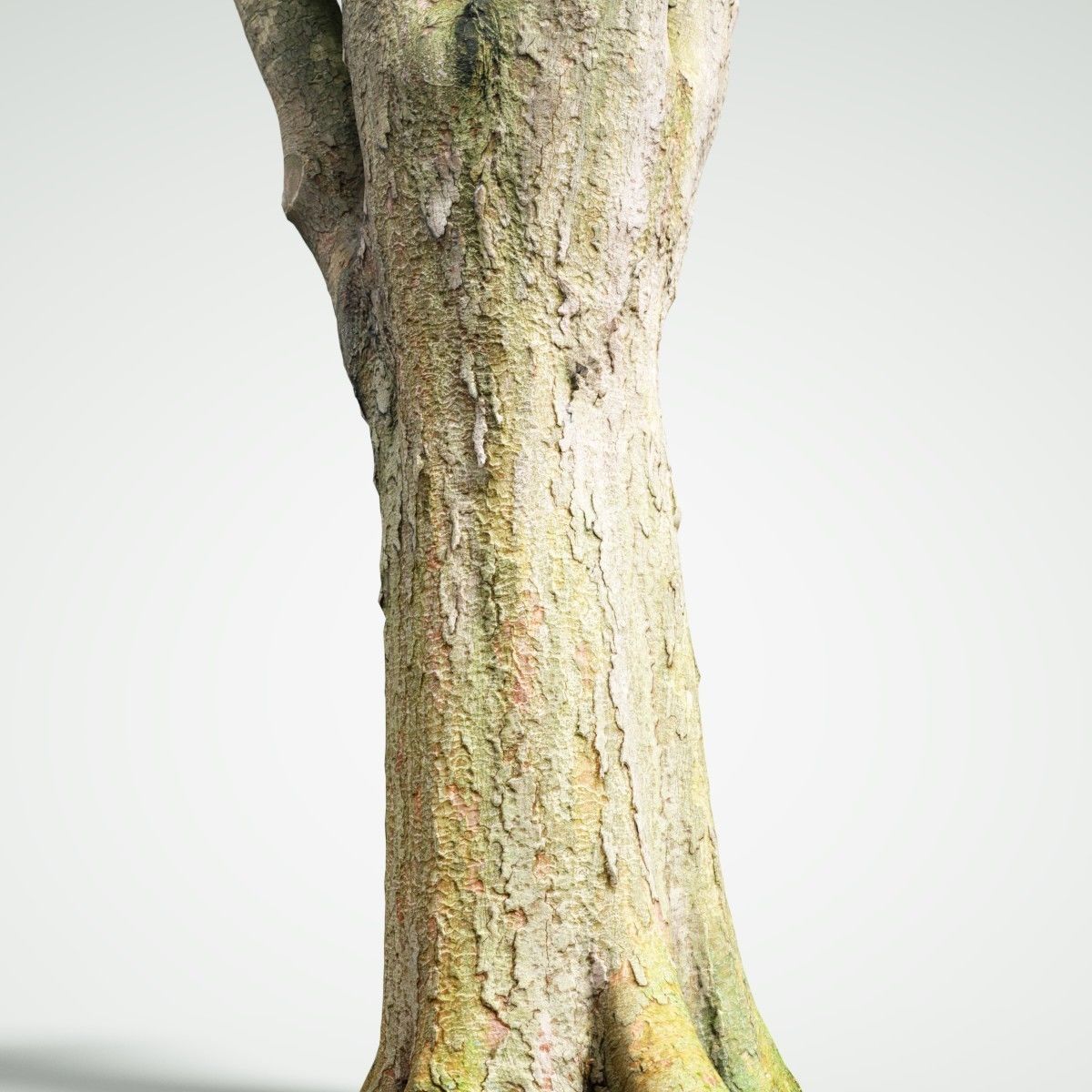 Big Tree Realistic Model Low-poly 3D model_3