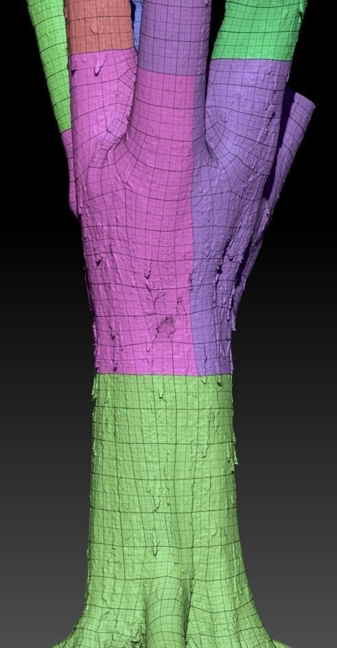 Big Tree Realistic Model Low-poly 3D model_7