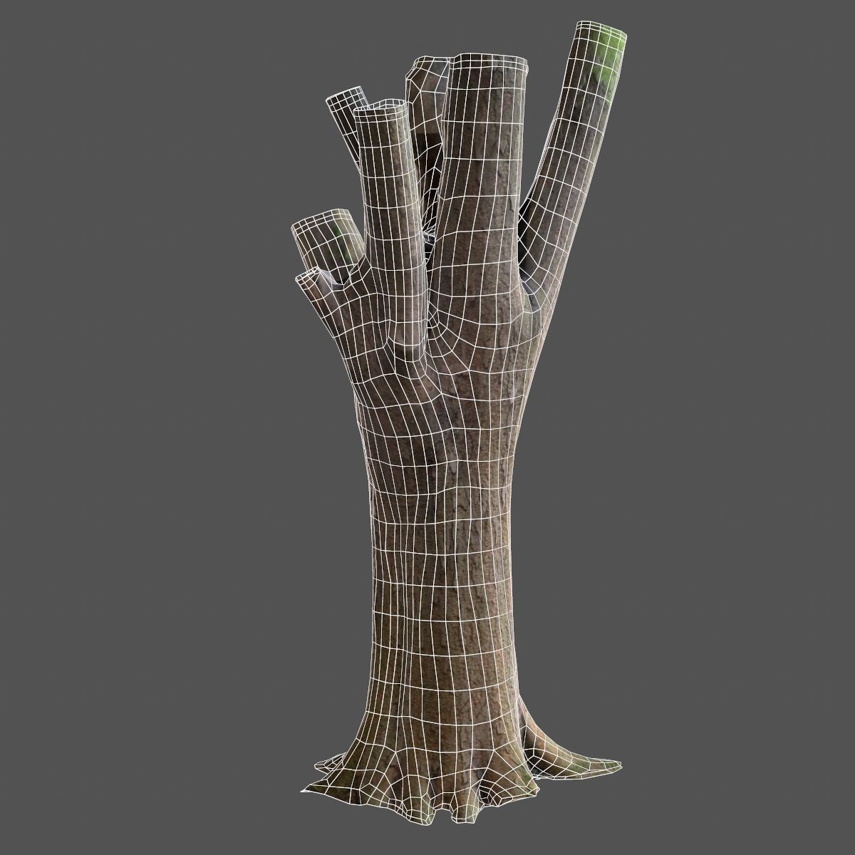 Big Tree Realistic Model Low-poly 3D model_13