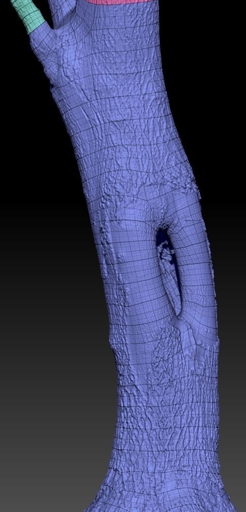 Photorealistic Tree Model 5 Low-poly 3D model_7