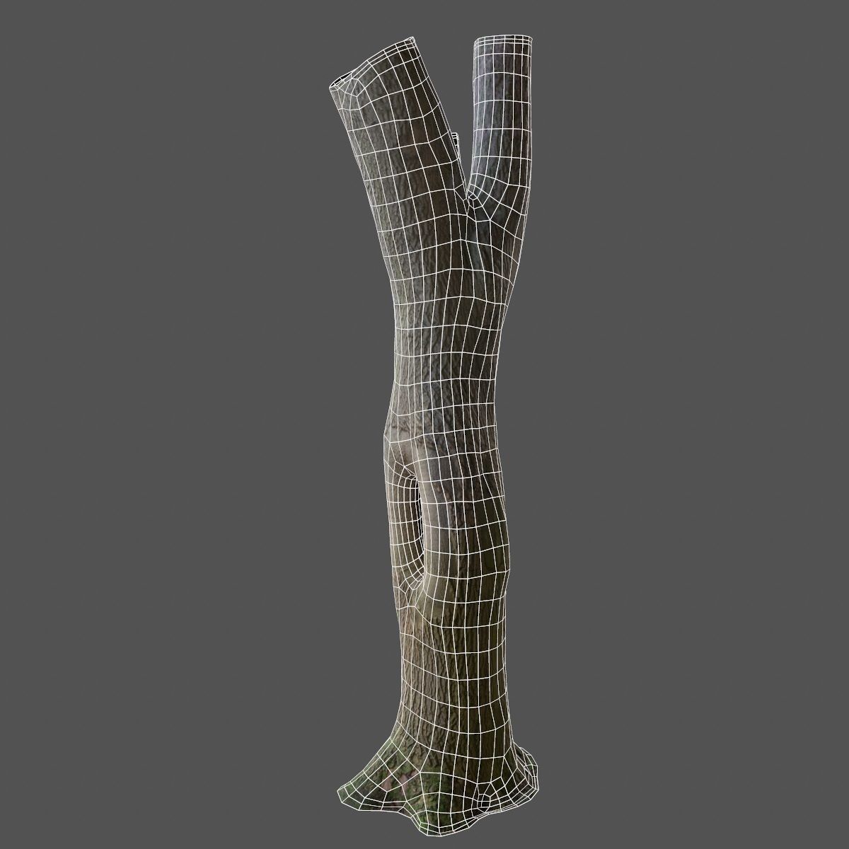 Photorealistic Tree Model 5 Low-poly 3D model_12