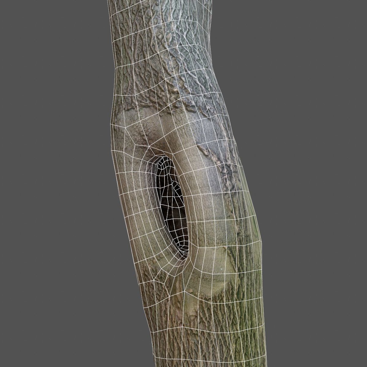 Photorealistic Tree Model 5 Low-poly 3D model_13