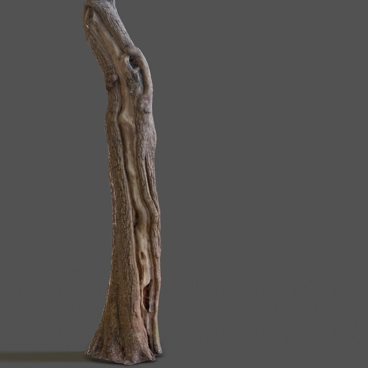 Realistic Tree Model 7 three trunks of Low-poly 3D model_16