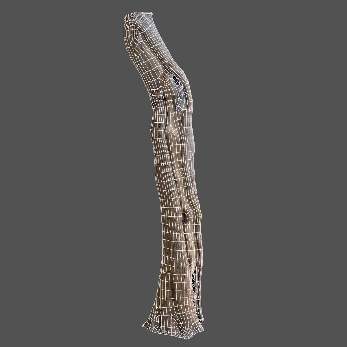 Realistic Tree Model 7 three trunks of Low-poly 3D model_9