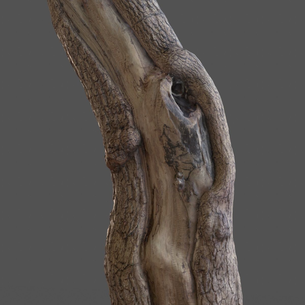 Realistic Tree Model 7 three trunks of Low-poly 3D model_6