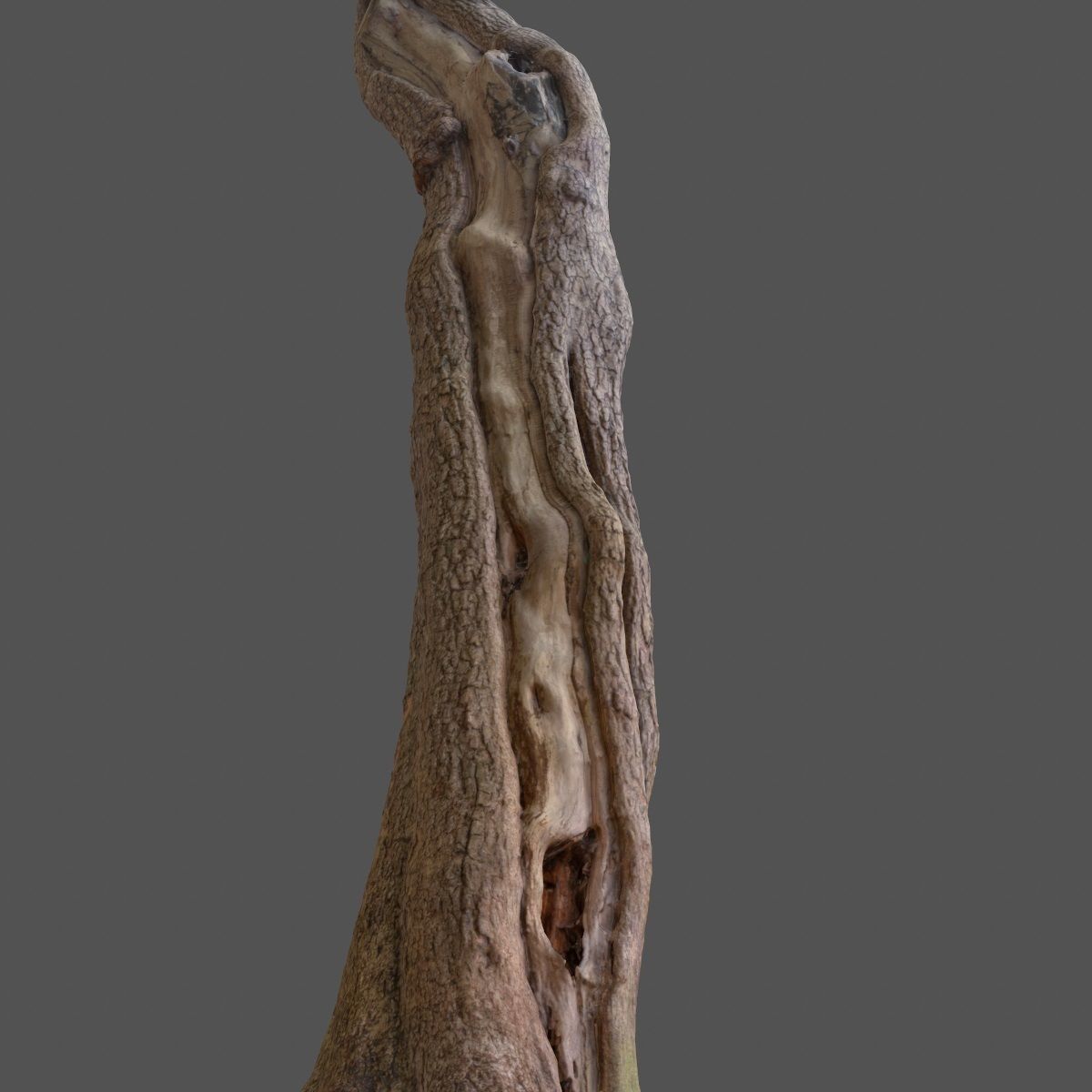 Realistic Tree Model 7 three trunks of Low-poly 3D model_15