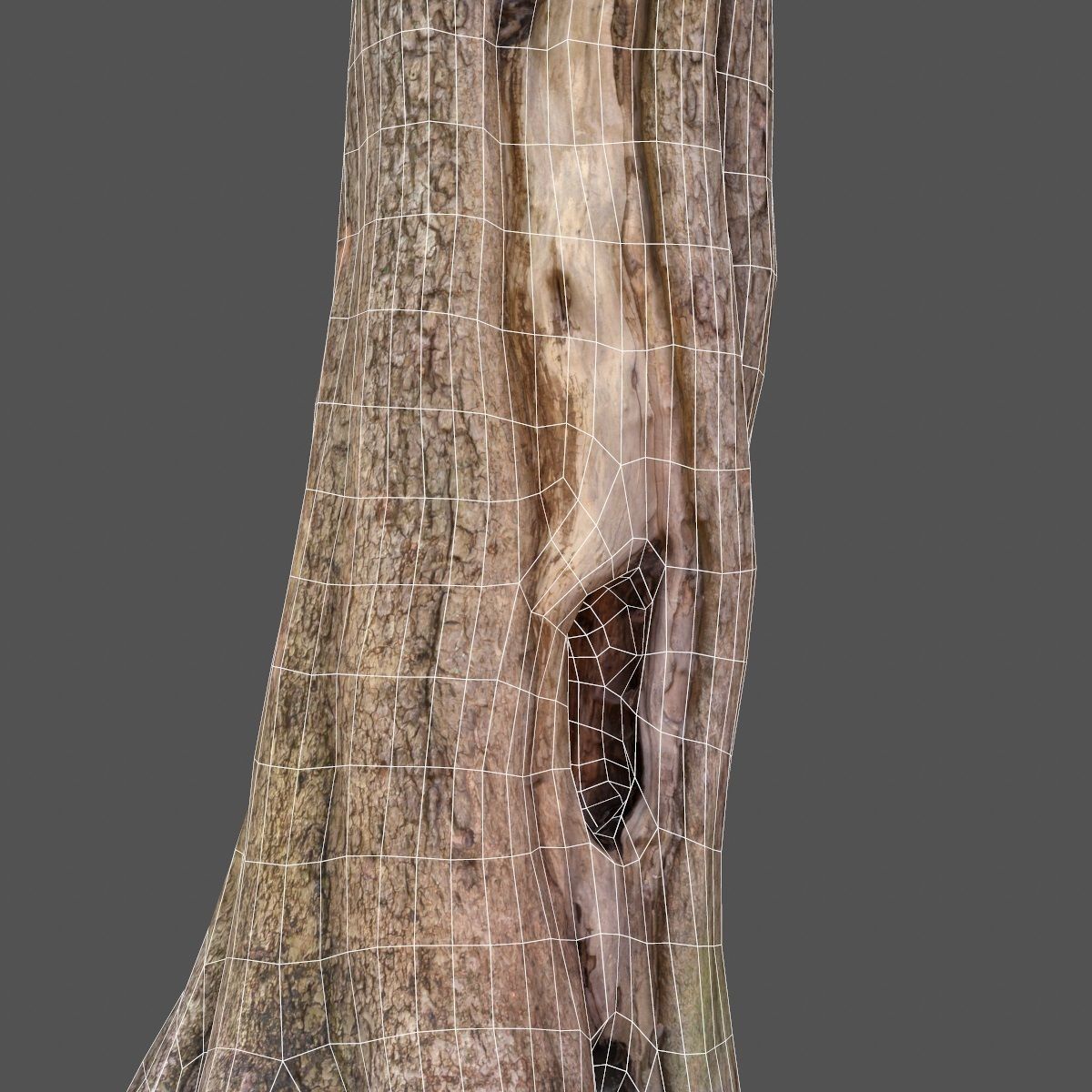 Realistic Tree Model 7 three trunks of Low-poly 3D model_14