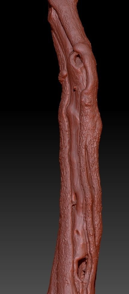 Realistic Tree Model 7 three trunks of Low-poly 3D model_7