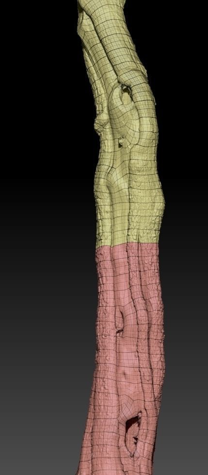 Realistic Tree Model 7 three trunks of Low-poly 3D model_8
