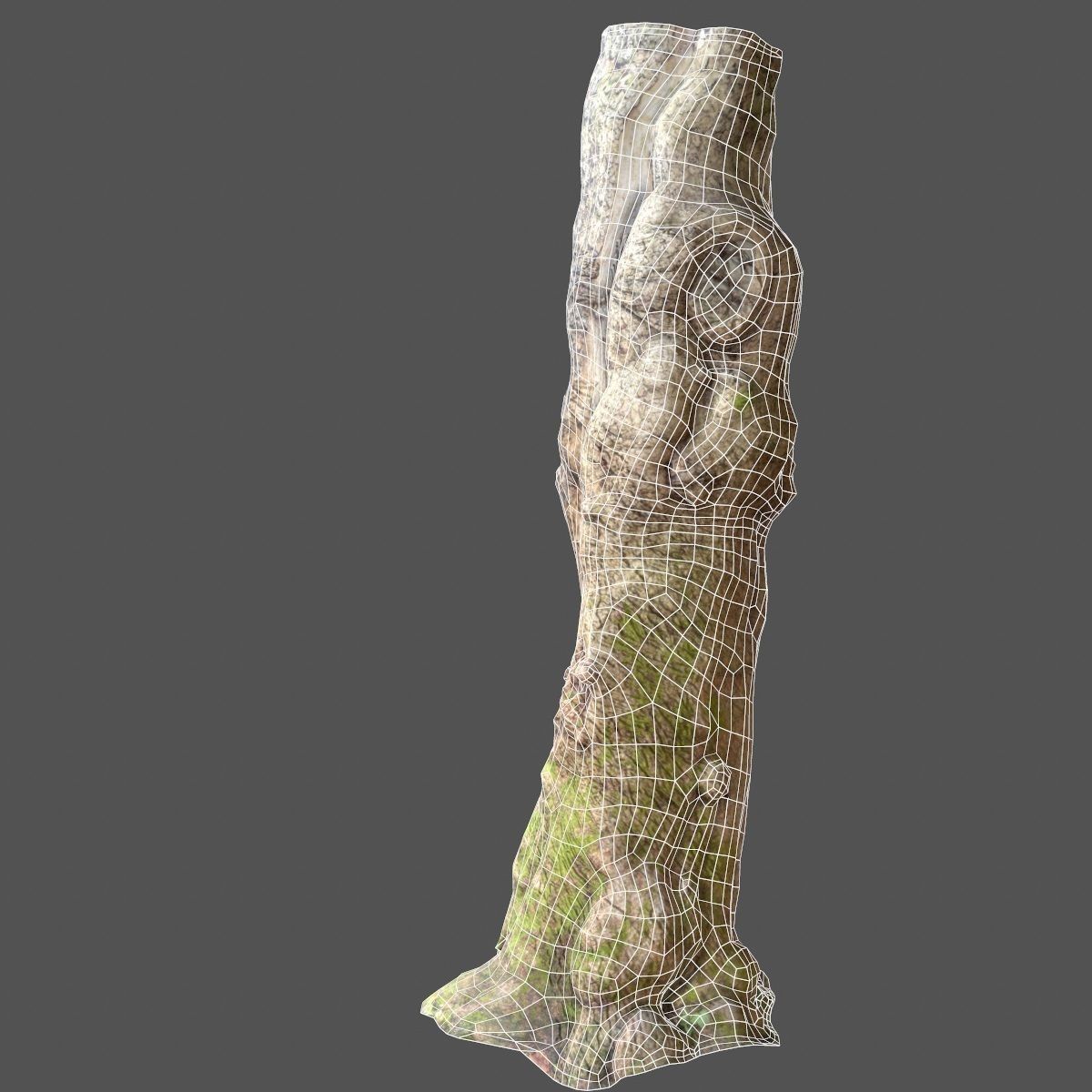 Realistic Tree Model Photorealistic 9 Low-poly 3D model_10