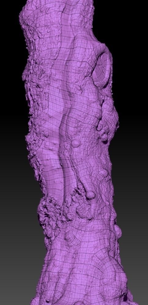 Realistic Tree Model Photorealistic 9 Low-poly 3D model_9