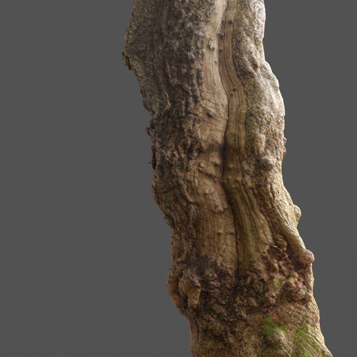 Realistic Tree Model Photorealistic 9 Low-poly 3D model_6