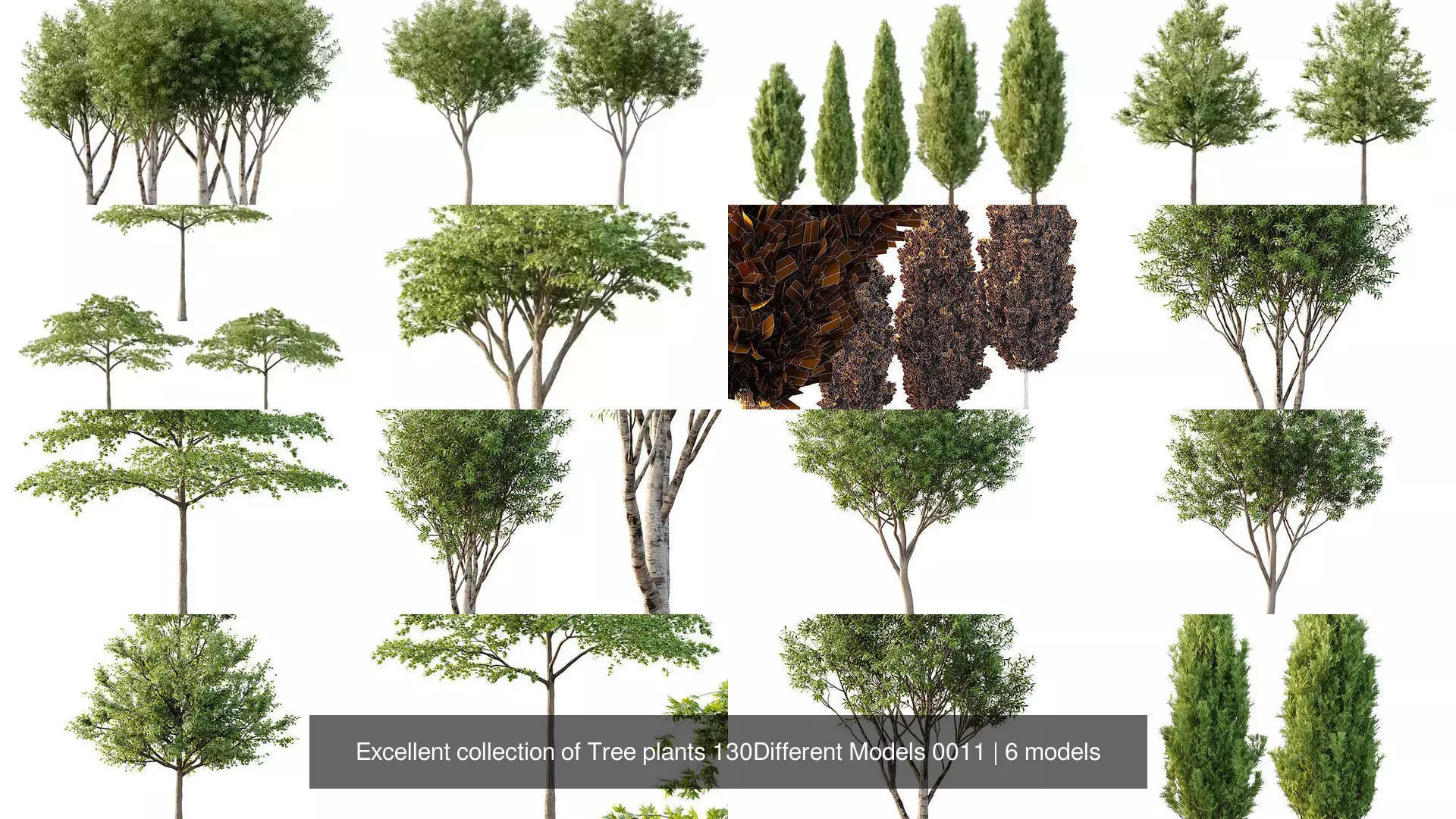 Excellent collection of Tree plants 130Different Models 0011 _1