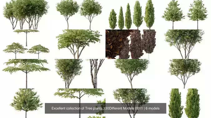 Excellent collection of Tree plants 130Different Models 0011
