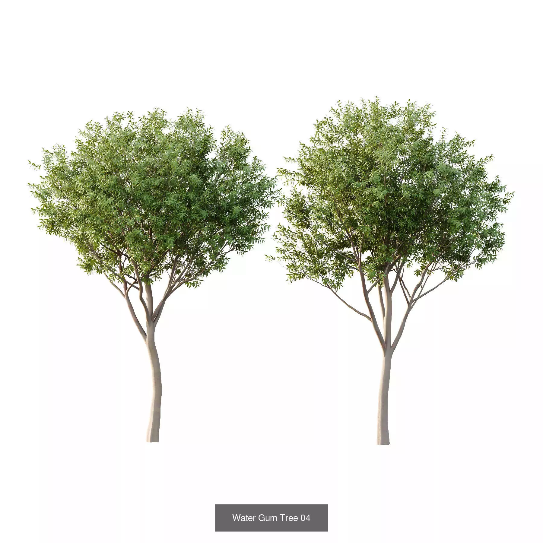Excellent collection of Tree plants 130Different Models 0011 _3