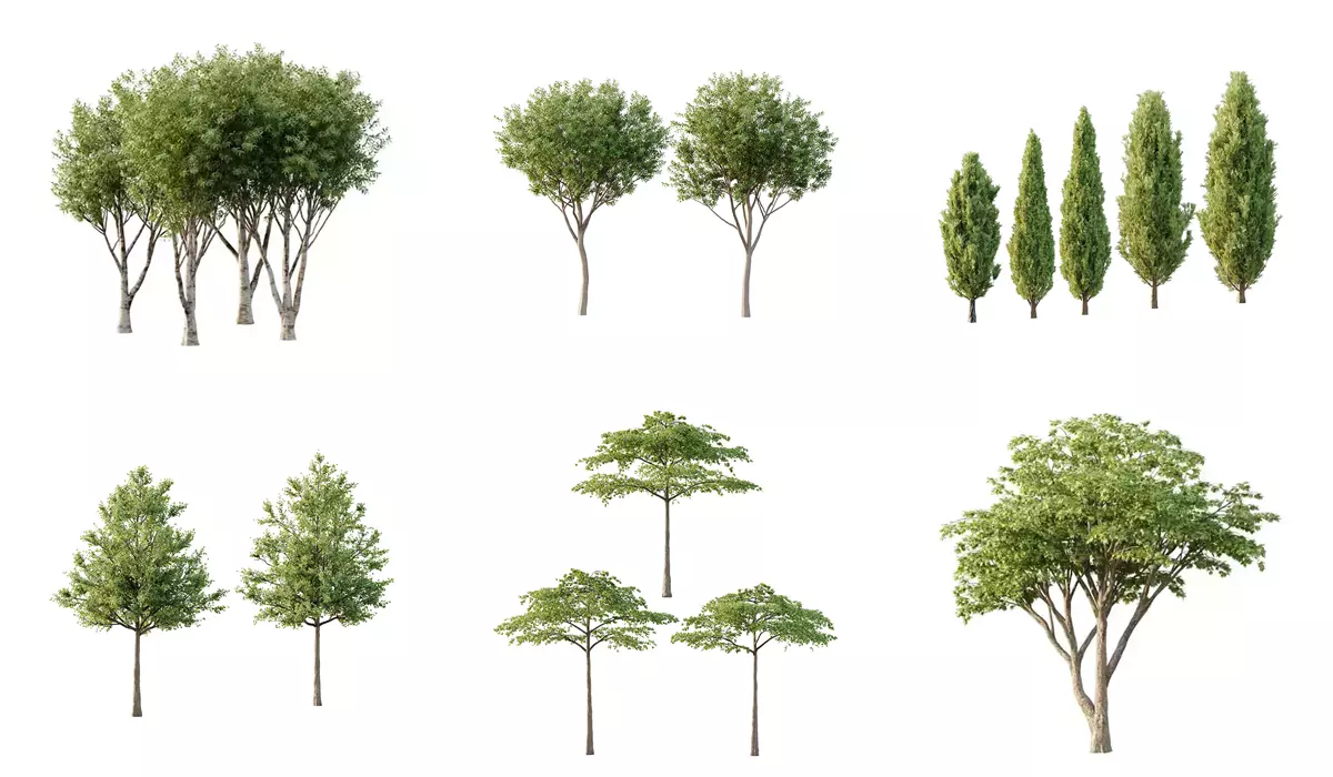 Excellent collection of Tree plants 130Different Models 0011 _0