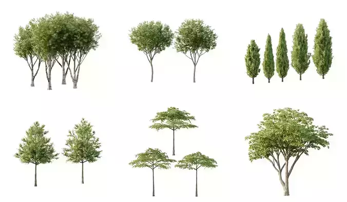 Excellent collection of Tree plants 130Different Models 0011  Excellent collection of Tree plants 130Different Models 0011