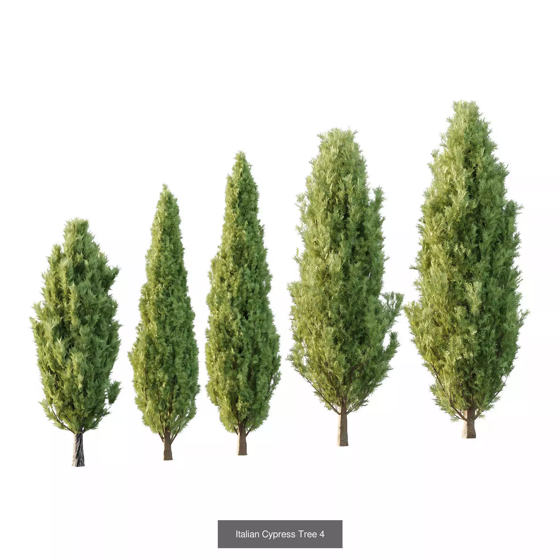 Excellent collection of Tree plants 130Different Models 0011 _4