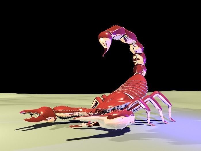 Scorpion 3D model_0