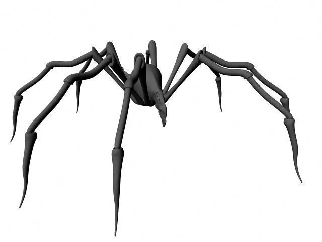 Spider 3D model_0