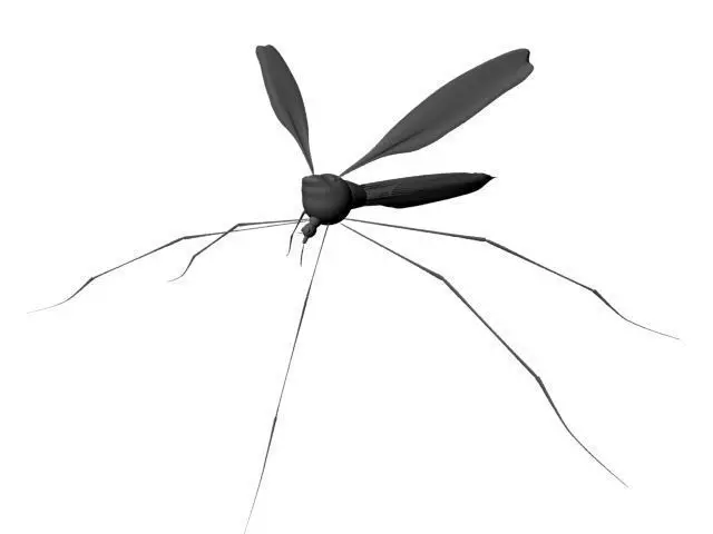 Mosquito 3D model_0