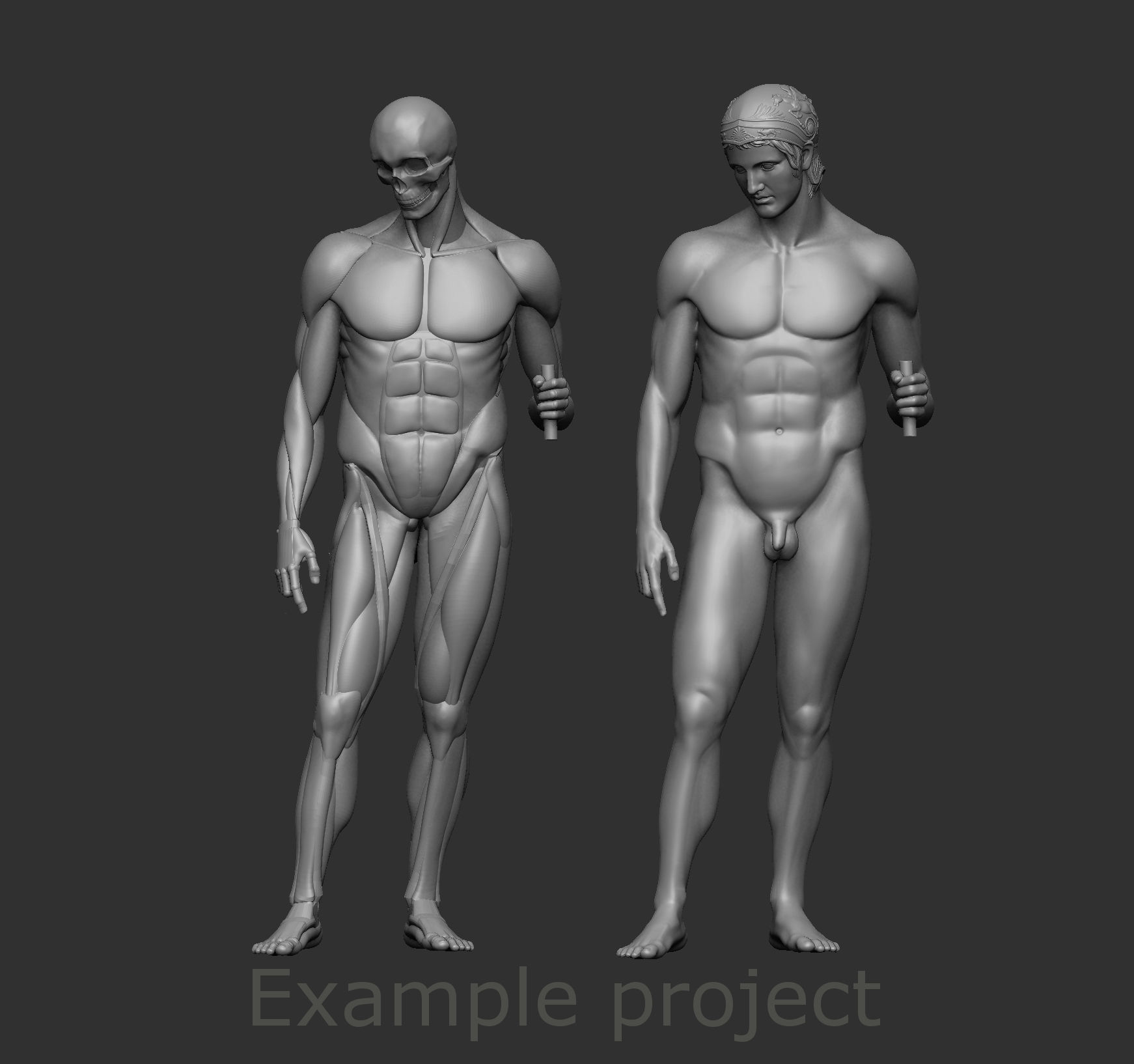 Musculature simplified 3D print model_7