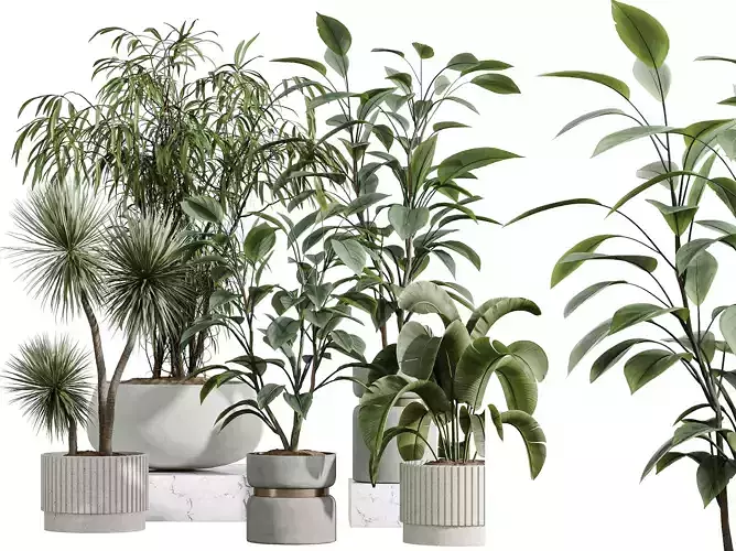 AV Indoor Plants Set 383 Yucca Ficus Banana Fig