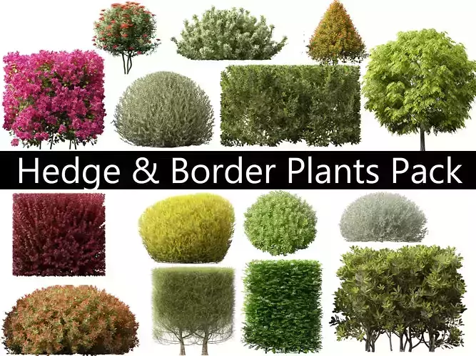 Hedge Border Plants Pack 26 3D model
