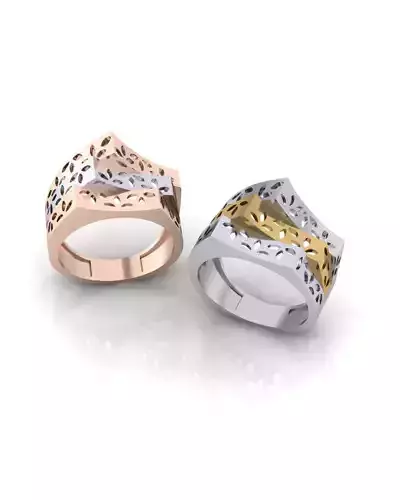 2 part gold ring 