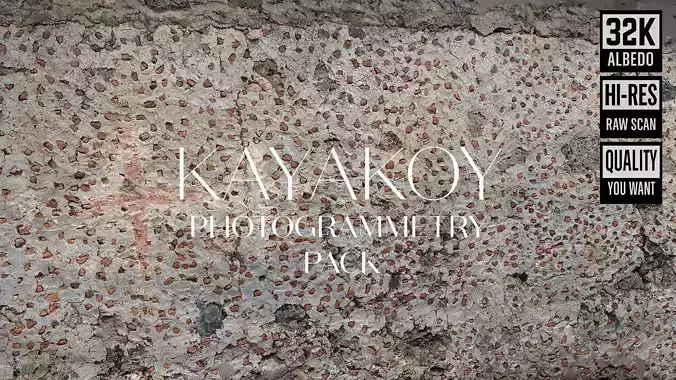 Abandoned Village Surface Scan - Stone Wall 10