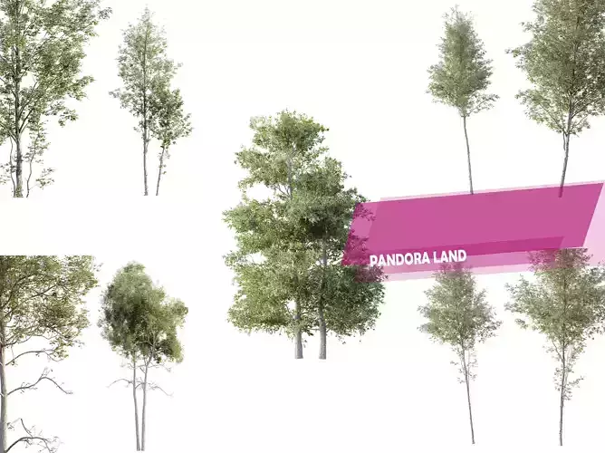5 Different SETS Of Fall Trees 3D Model Collection