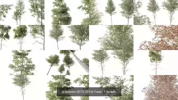 5 Different SETS Of Fall Trees