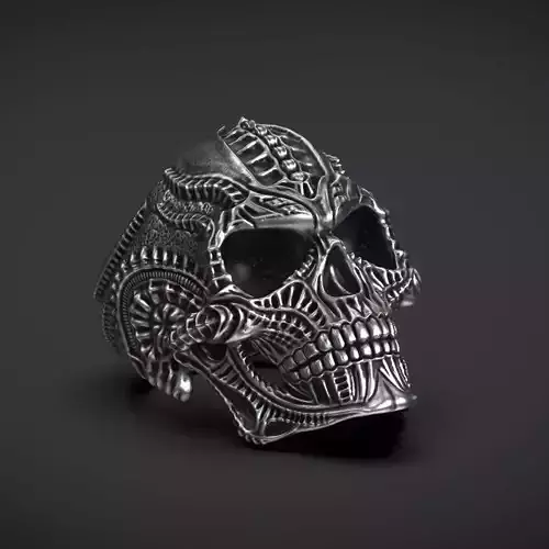 Ring Skull Biomechanics  STL 3d model for 3d printing 3D print model