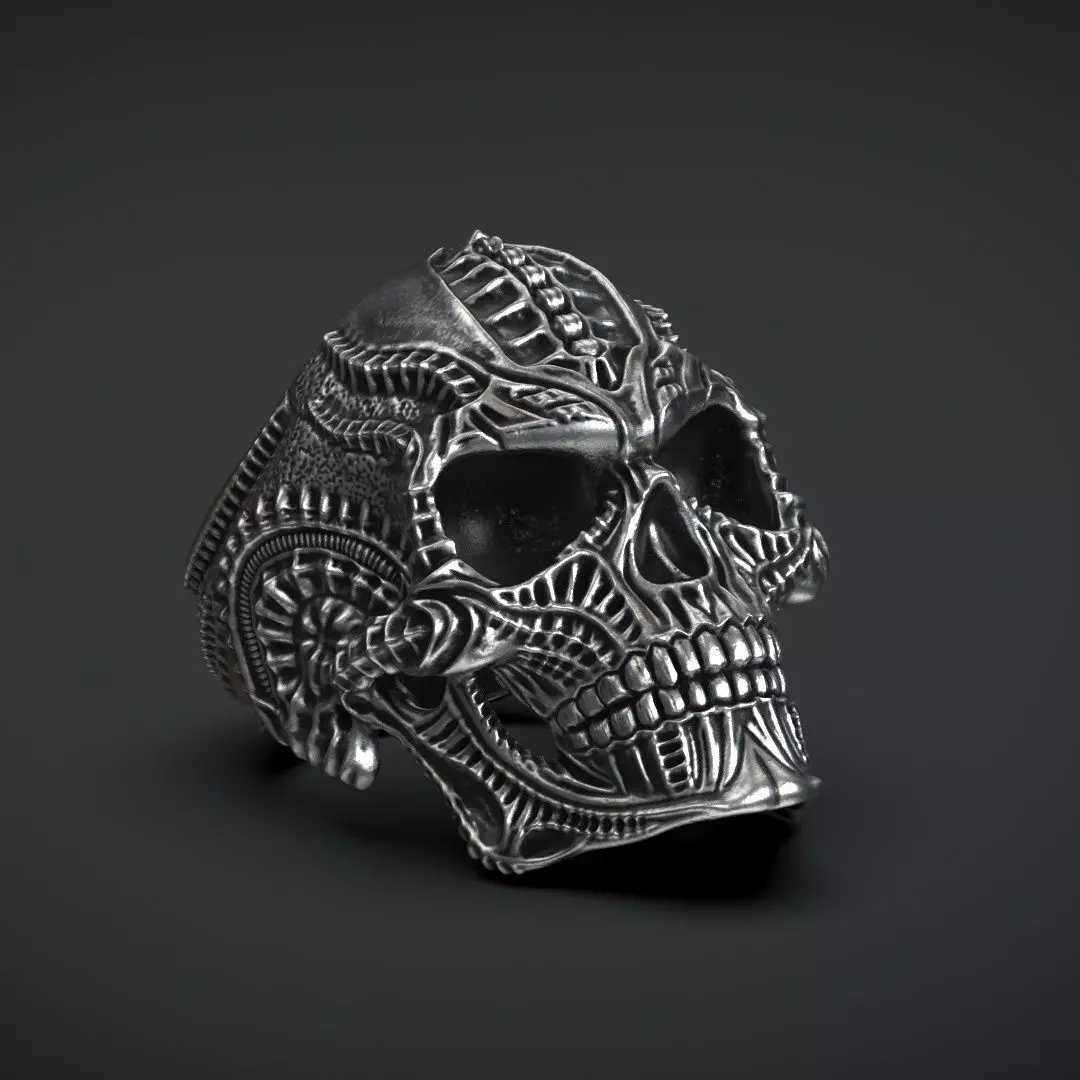 Ring Skull Biomechanics  STL 3d model for 3d printing 3D print model_0