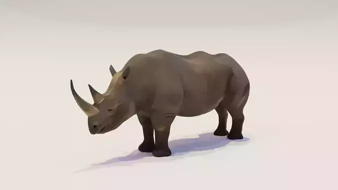 Rhinoceros Low-poly 3D model