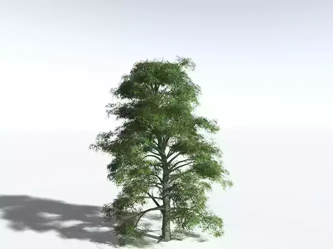EVERYPlant Idiot Fruit Tree LowPoly