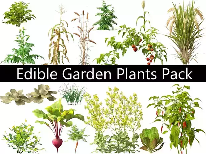 Edible Garden Plants Pack 28