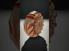 Spiral Tangerine Seashell model pack Low-poly 3D model_2