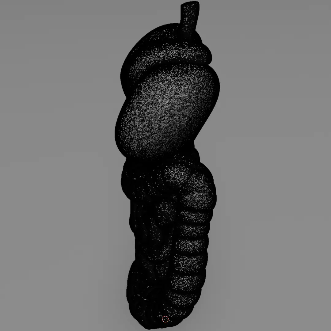 Human Digestive System 3D Printing Anatomical Structure 3D print model_14