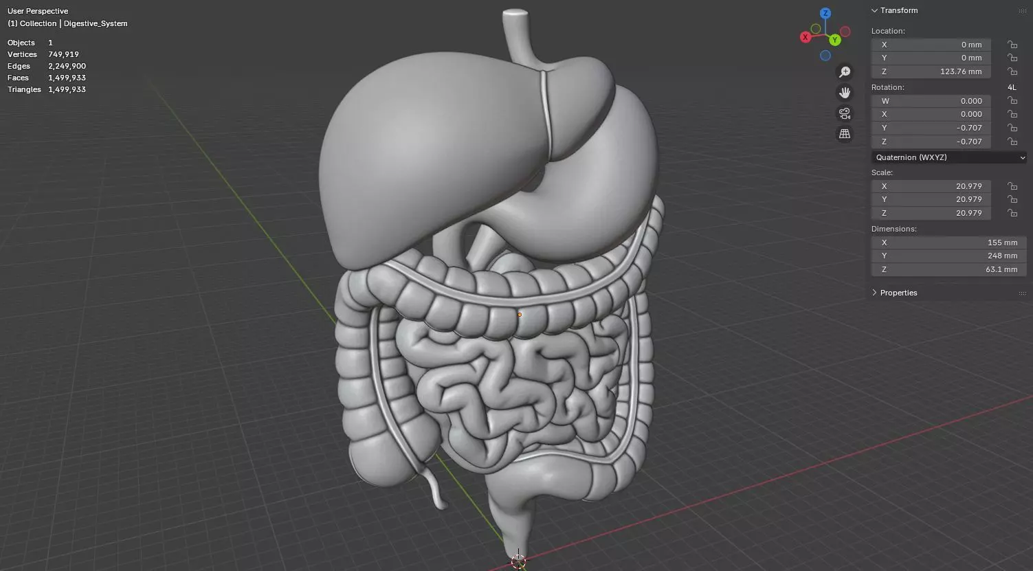 Human Digestive System 3D Printing Anatomical Structure 3D print model_16