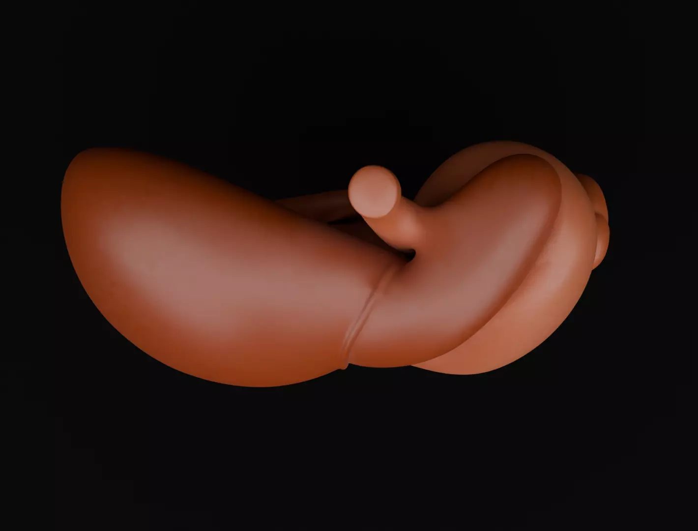 Human Digestive System 3D Printing Anatomical Structure 3D print model_2