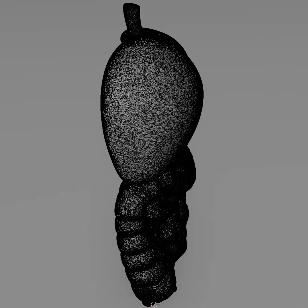 Human Digestive System 3D Printing Anatomical Structure 3D print model_13