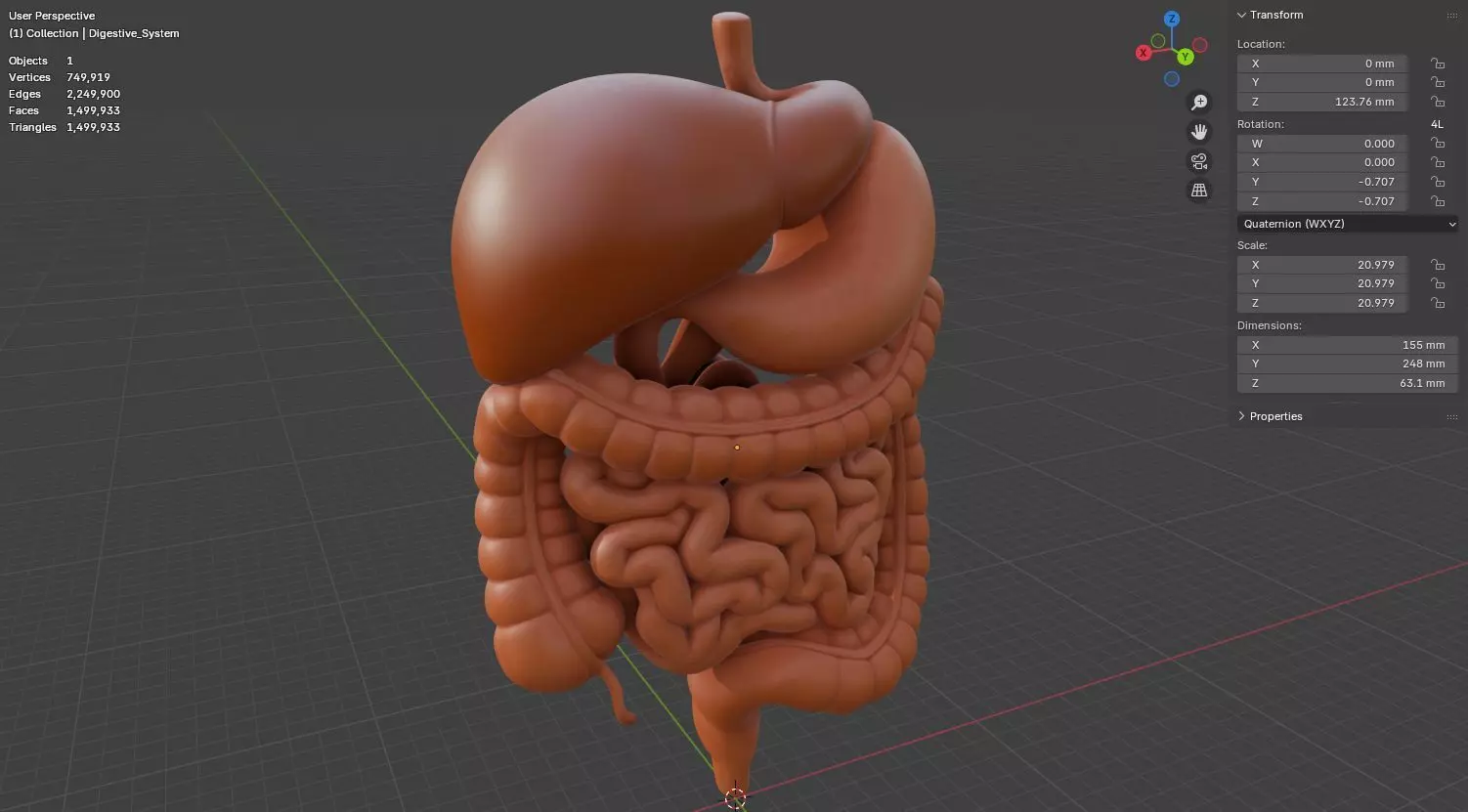 Human Digestive System 3D Printing Anatomical Structure 3D print model_17